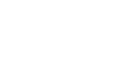 Wahl